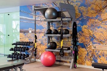 Fitness Center Strength and Conditioning Equipment at The Bluffs at Highlands Ranch, Colorado, 80129